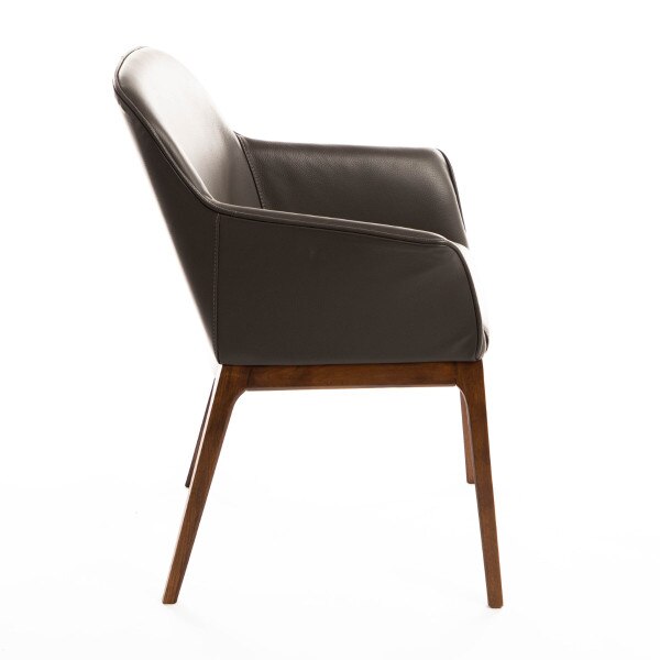 Ann Arm Chair